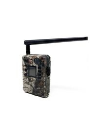 Lovska kamera Boly Guard Bat BG310-M 4G (pošiljanje email, kamera v oblaku)
