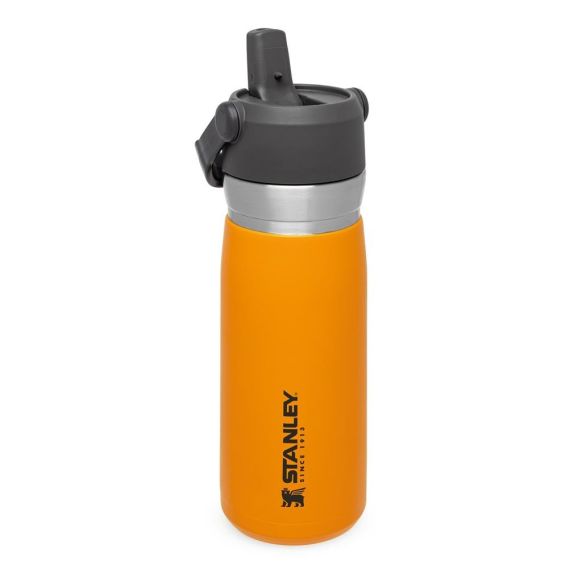 Stanley Quick Flip Straw  Bottle, 0.65L, Saffron Oranžna, Steklenica